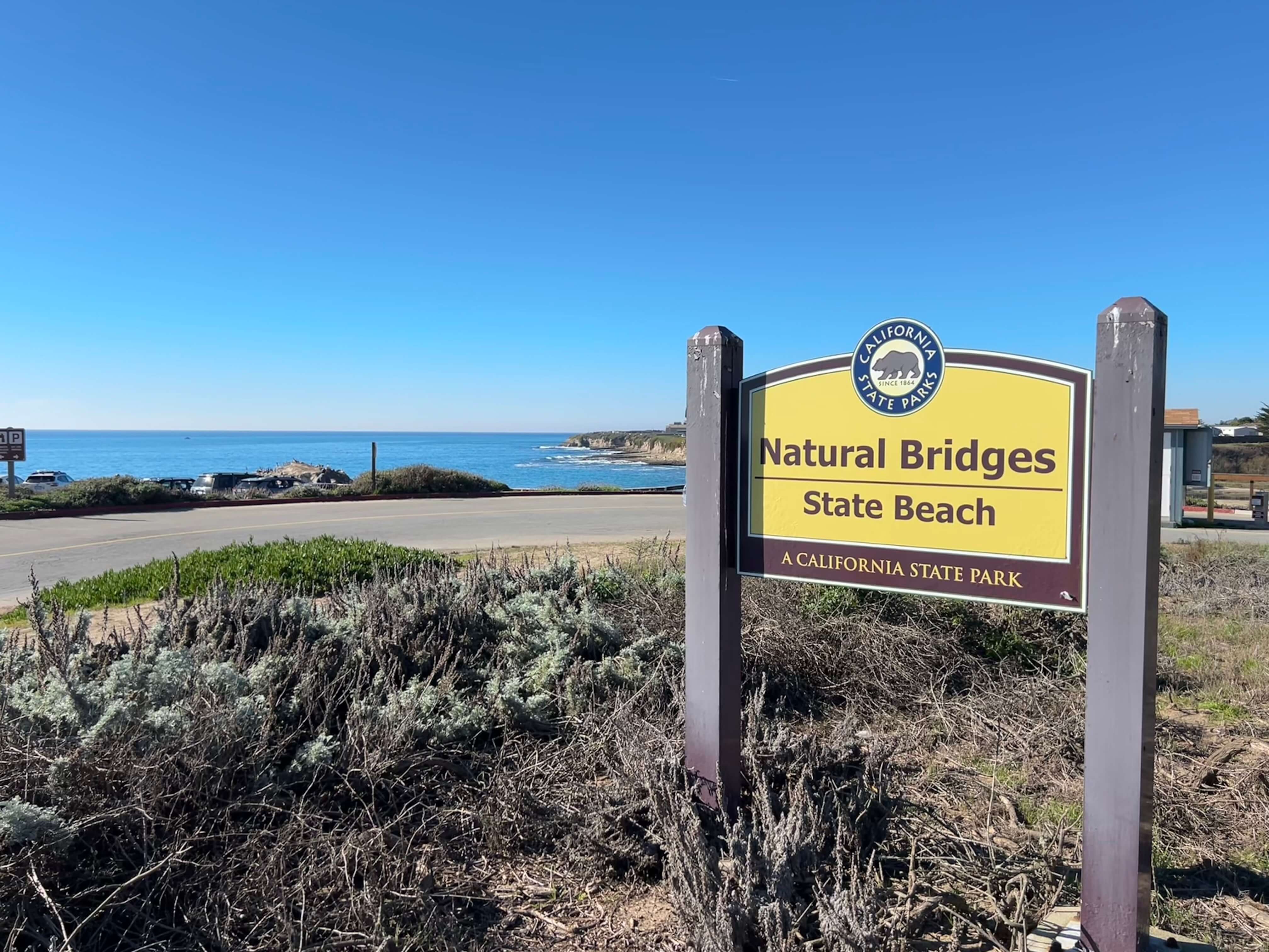Natural Bridges State Beach