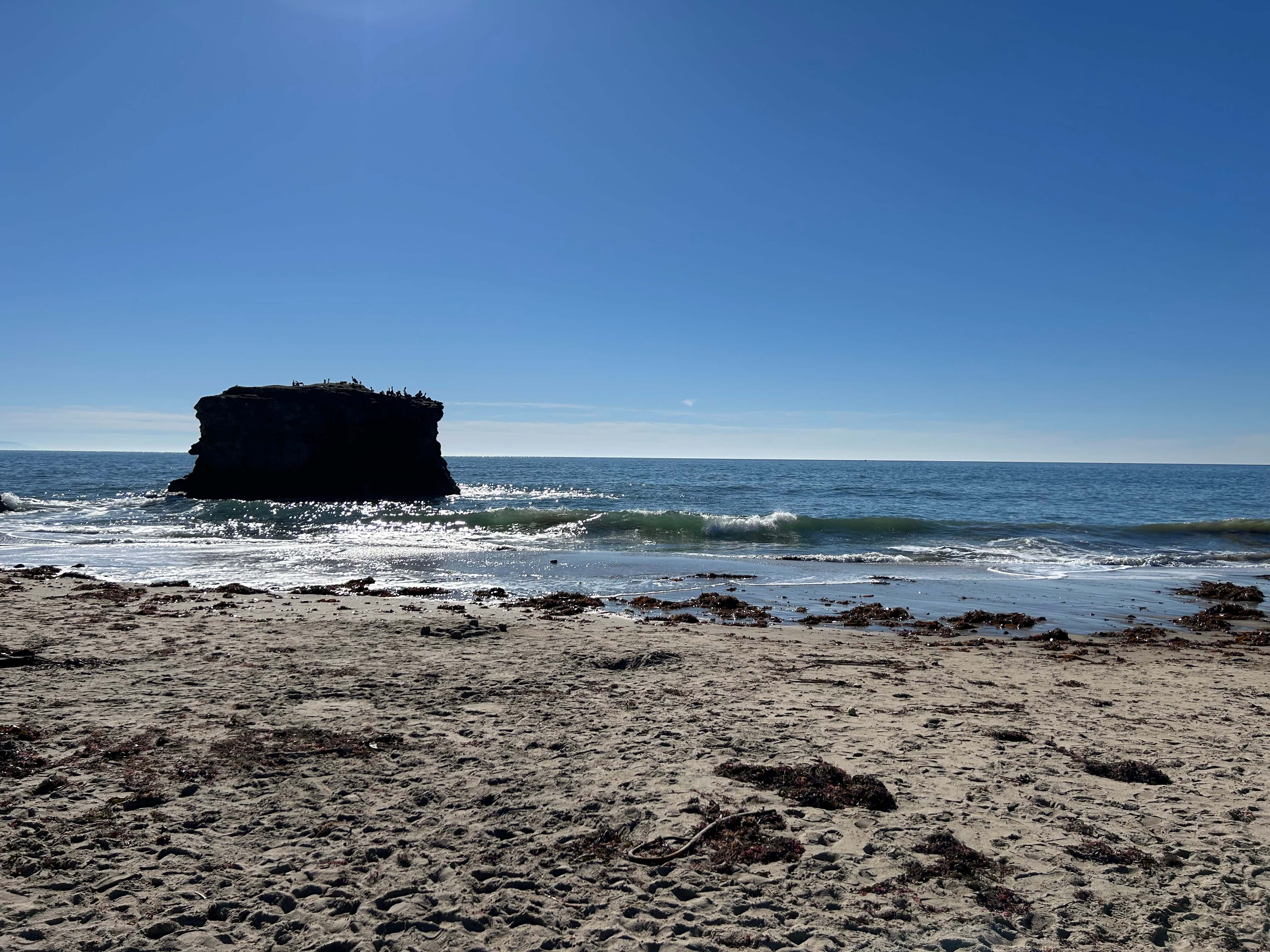 Natural Bridges State Beach